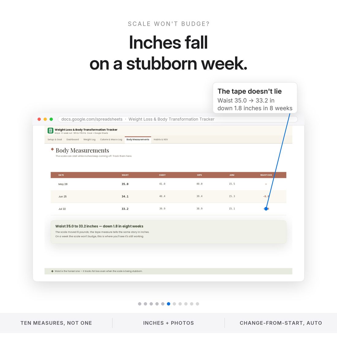 Body measurements and the front, side and back photo grid — the progress the scale can't show.